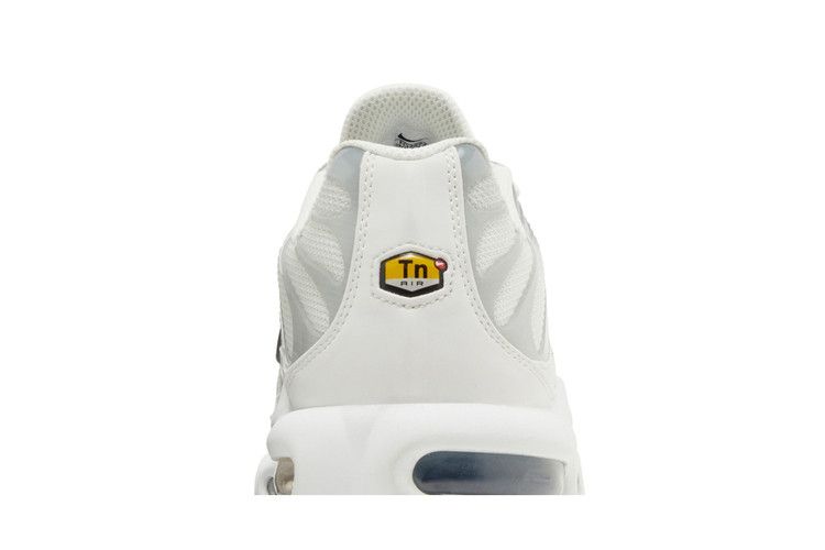 Nike Wmns Air Max Plus 'Smoke Grey Ashen Slate'