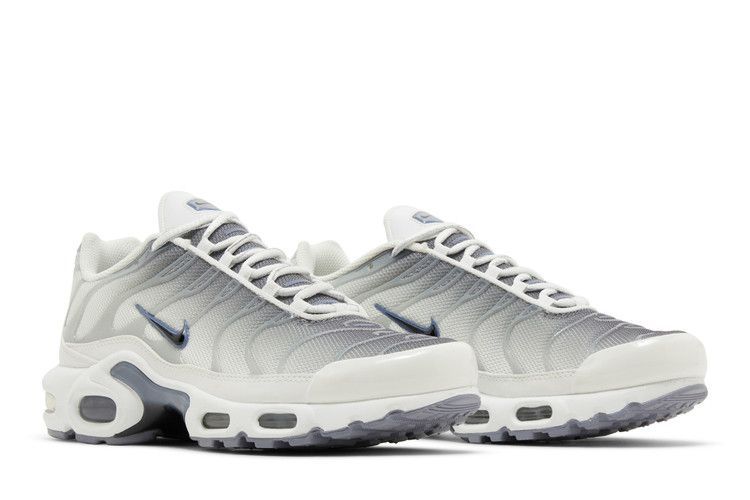 Nike Wmns Air Max Plus 'Smoke Grey Ashen Slate'