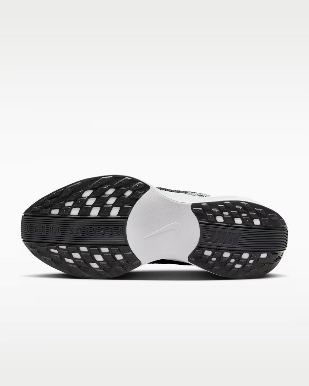FQ7261-002 Nike Pegasus Plus Black Anthracite White Pure Platinum (Women's)