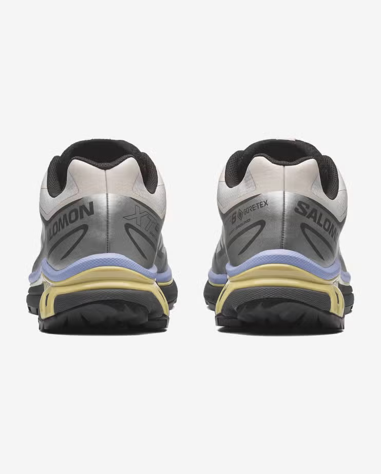 L49216100 Salomon XT-6 GORE-TEX "Silver Cloud/Urban Chic/Shadow Green" (Men's)