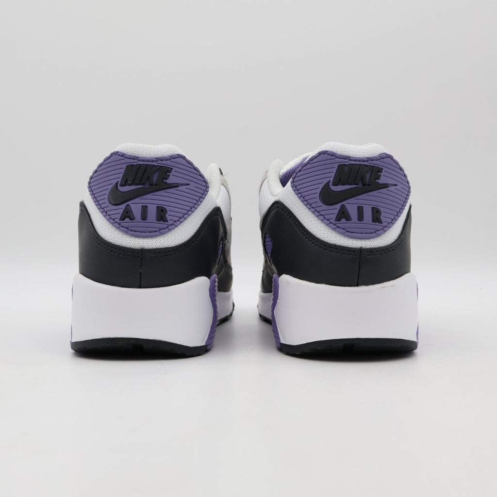 DM0029-114 Nike Air Max 90 Dusty Amethyst Photon Dust Light Smoke Grey (Men's)