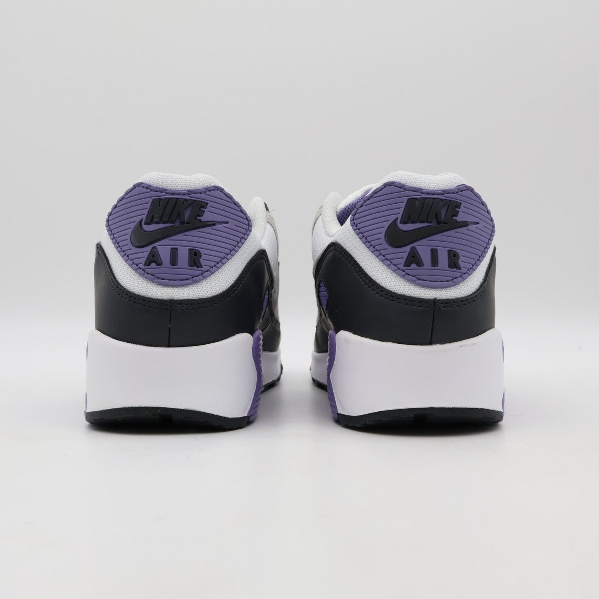 DM0029-114 Nike Air Max 90 Dusty Amethyst Photon Dust Light Smoke Grey (Men's)