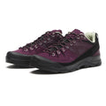 L47988900 Salomon X-ALP Leather Winter Bloom Plum Perfect (Men's)