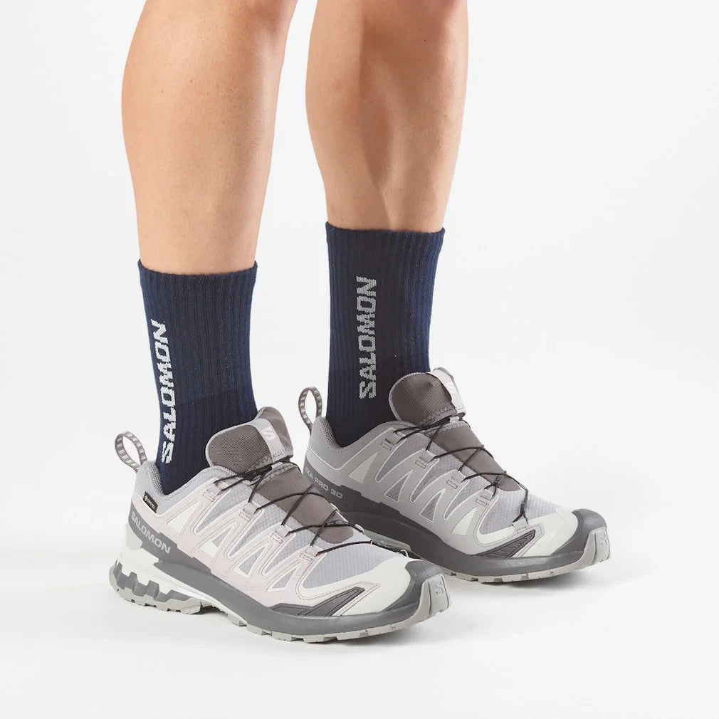 L49199100 Salomon XA Pro 3D V9 GORE-TEX "Alloy/Castlerock" (Men's)