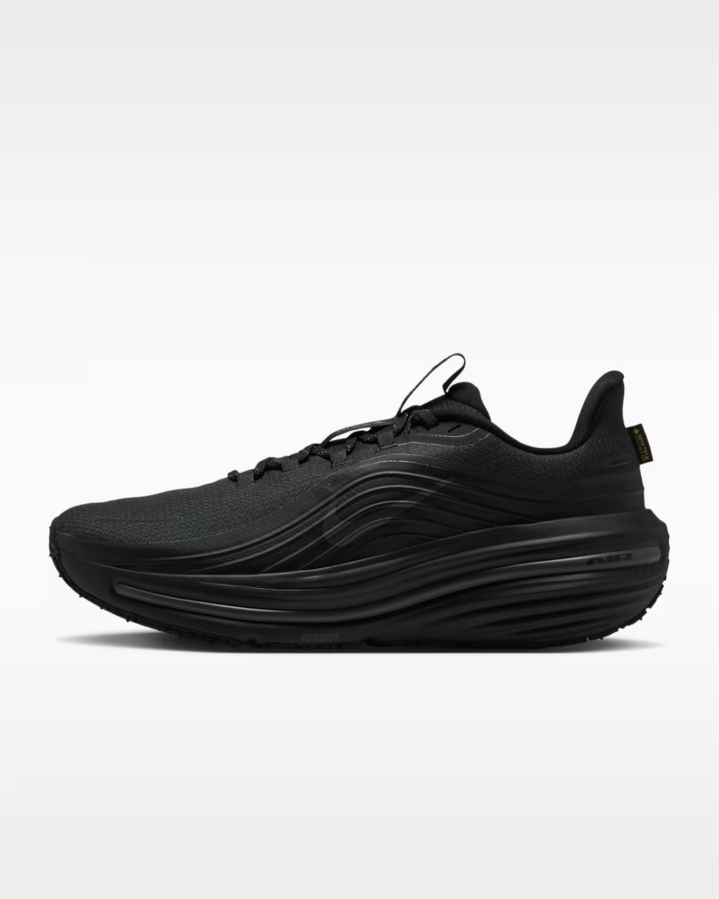 IO7953-001 Nike Winflo 12 GORE-TEX "Black/Dark Smoke Grey" (Men's)