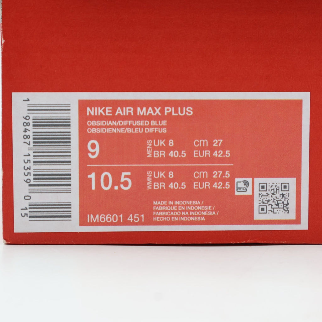 IM6601-451 Nike Air Max Plus Obsidian Aluminum Diffused Blue (Men's)