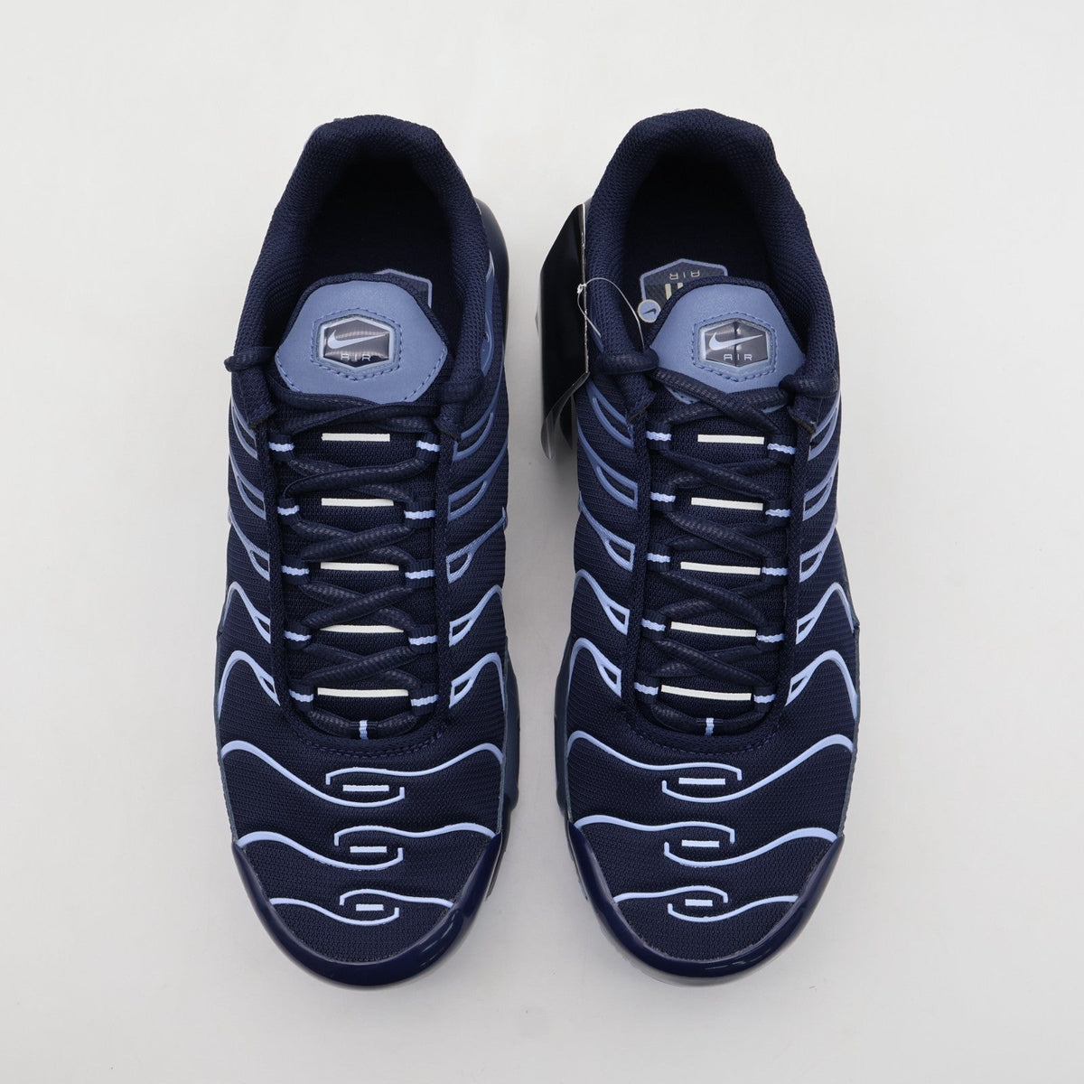 IM6601-451 Nike Air Max Plus Obsidian Aluminum Diffused Blue (Men's)