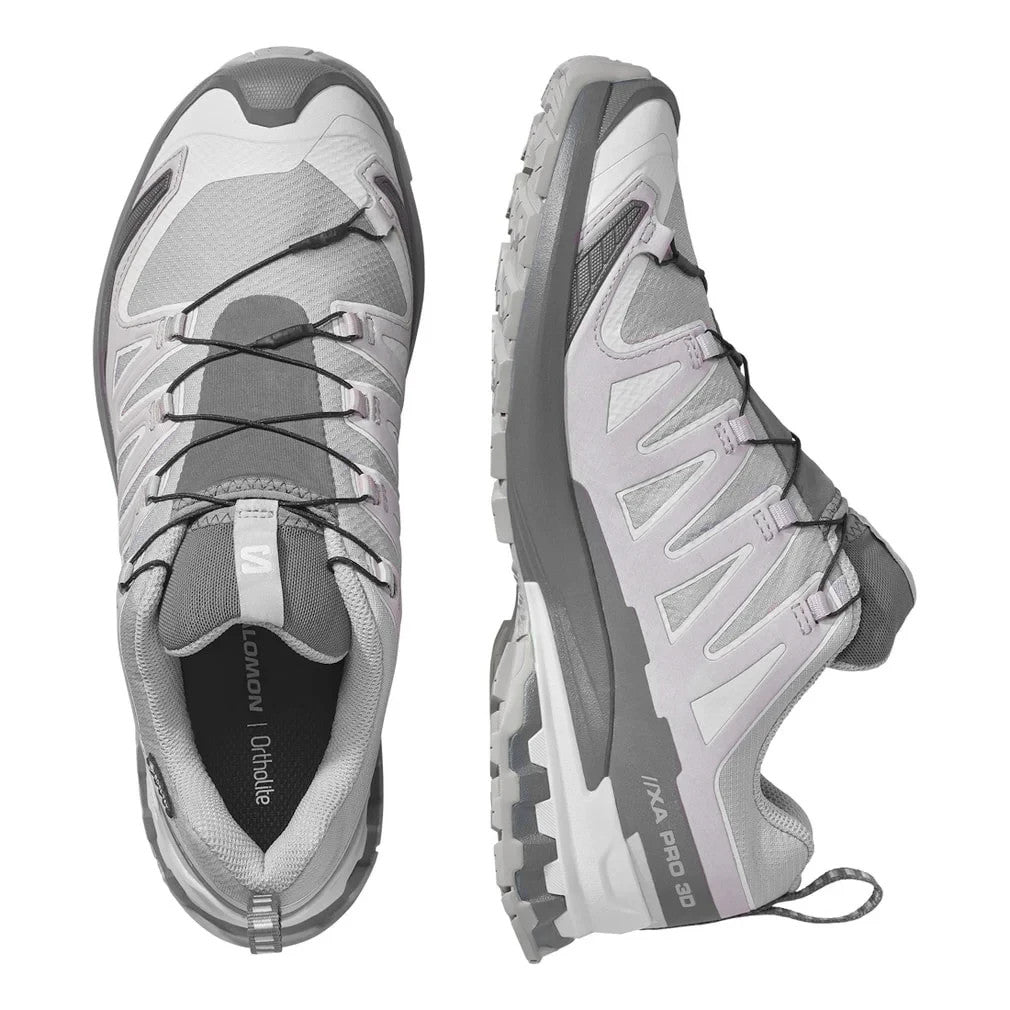L49199100 Salomon XA Pro 3D V9 GORE-TEX "Alloy/Castlerock" (Men's)