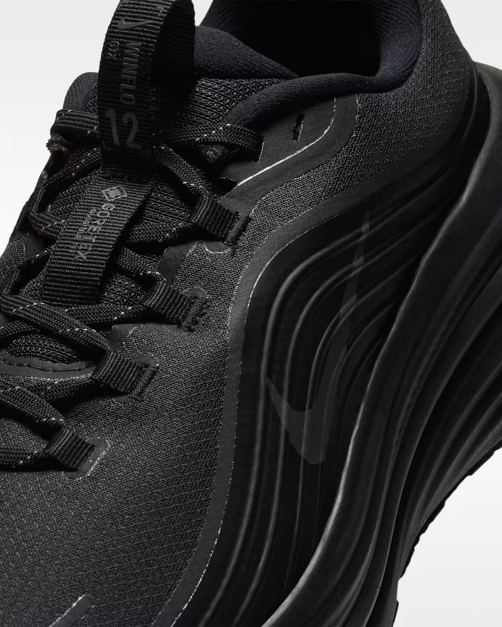 IO7953-001 Nike Winflo 12 GORE-TEX "Black/Dark Smoke Grey" (Men's)