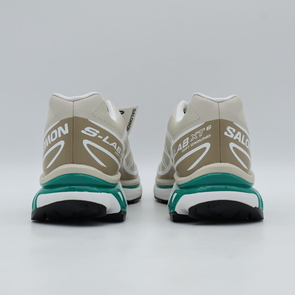 L47864300 Salomon XT-6 Rainy Day Chinchilla Dynasty Green (Men's)