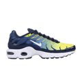 Nike Air Max Plus TN GS 'Obsidian White'