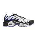 Nike Air Max Plus GS 'Persian Violet'