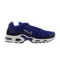 Nike Air Max Plus TN 'Indigo Force'