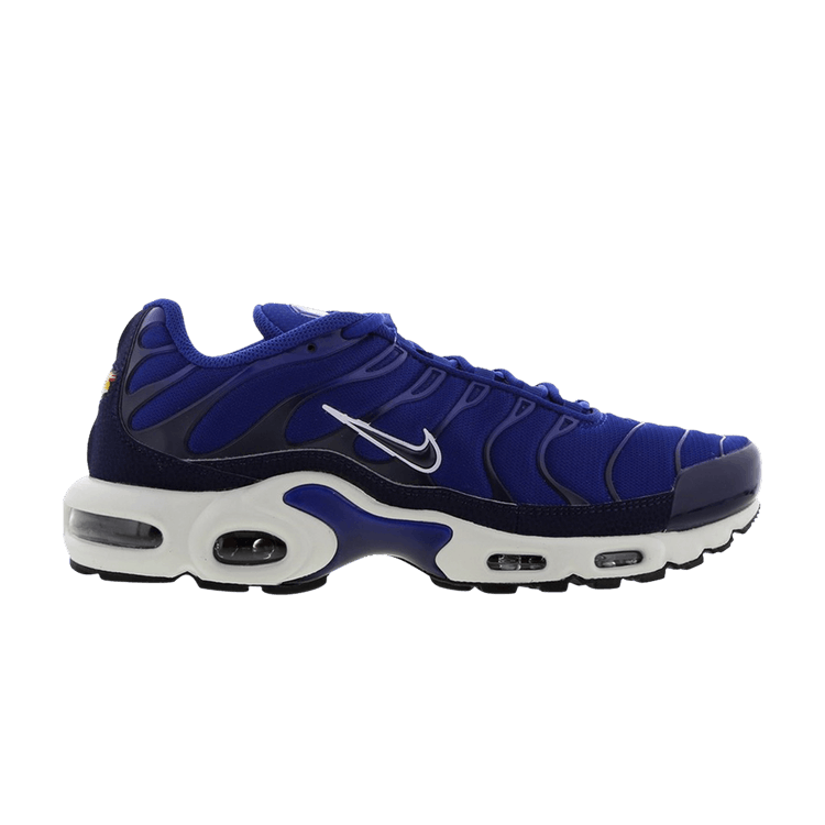 Nike Air Max Plus TN 'Indigo Force'