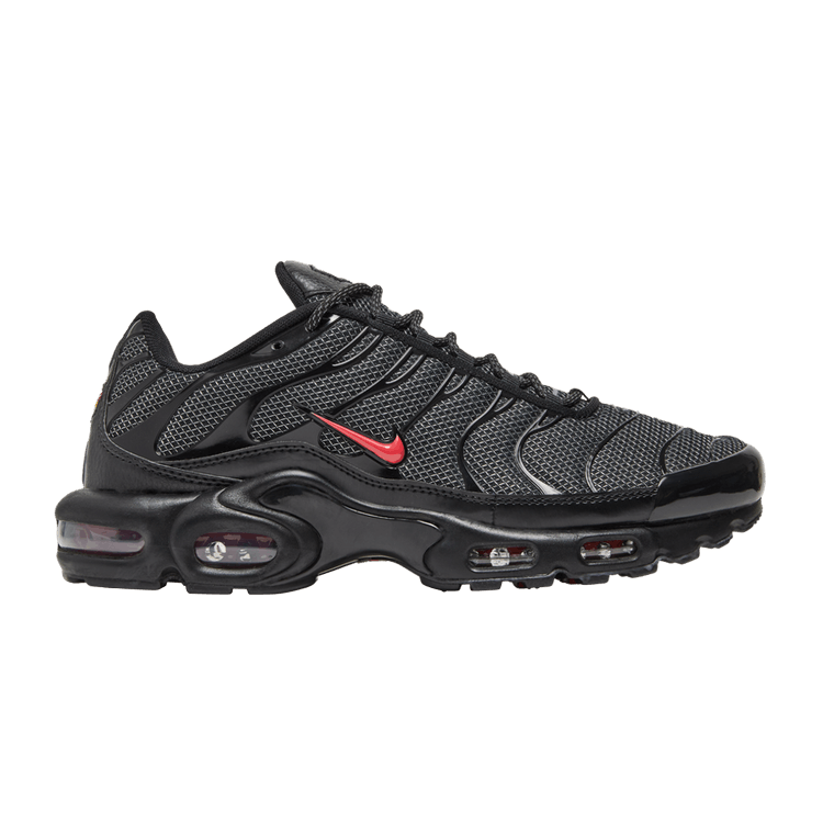Nike Air Max Plus 'Bred Metal Mesh'