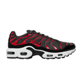 Nike Air Max Plus GS 'Medium Ash Siren Red'