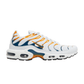 Nike Air Max Plus 'Hiking'