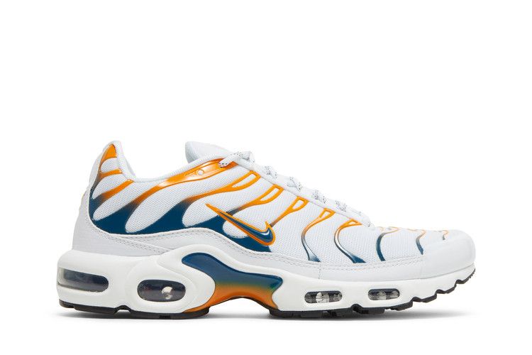 Nike Air Max Plus 'Hiking'