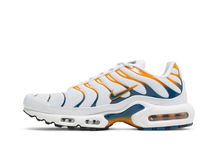 Nike Air Max Plus 'Hiking'