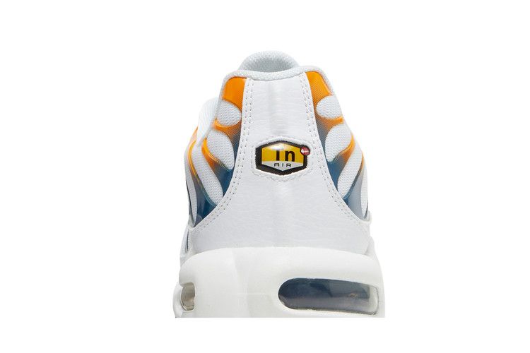 Nike Air Max Plus 'Hiking'