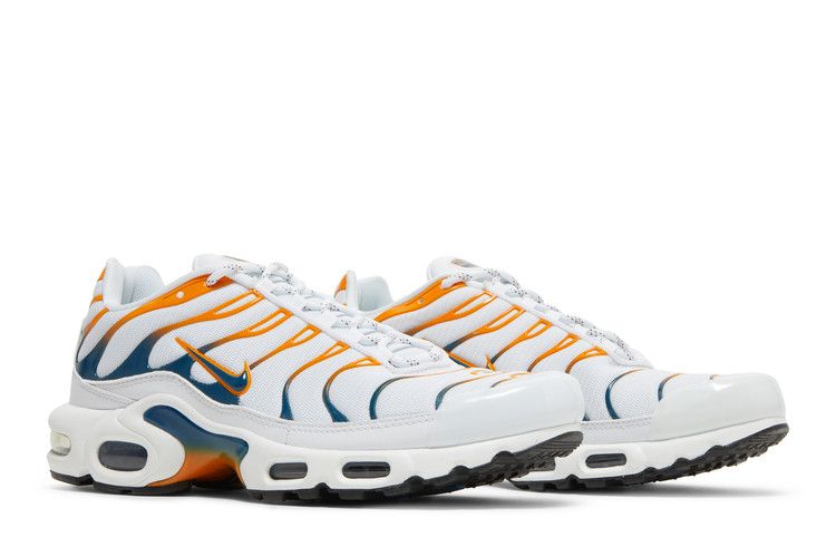 Nike Air Max Plus 'Hiking'