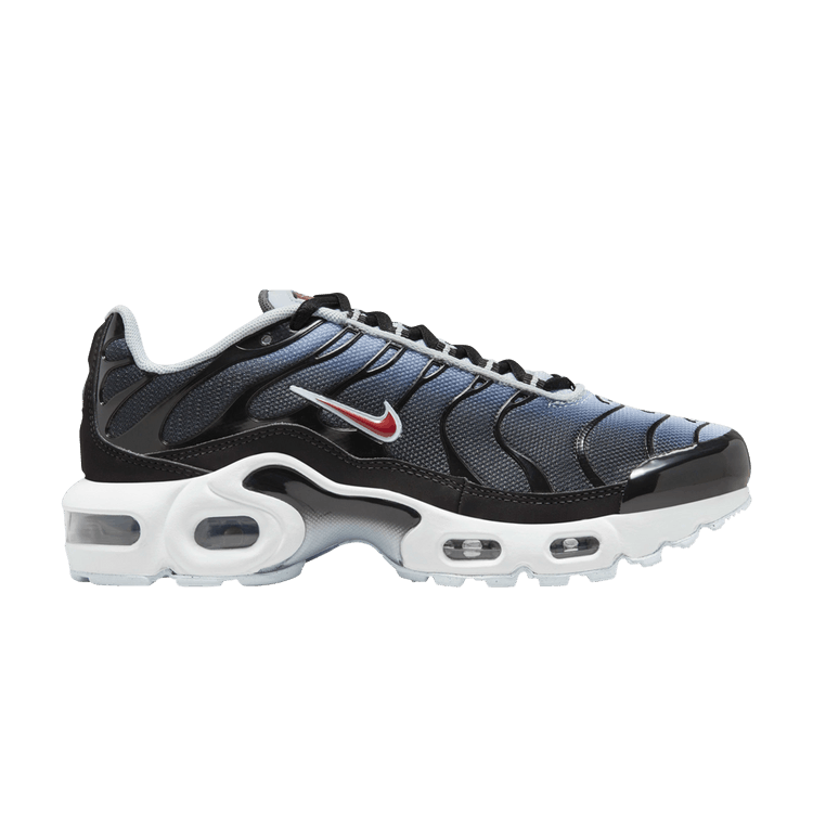 Nike Air Max Plus GS 'Black Blue Tint'