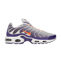 Nike Air Max Plus 'Color Flip' — Color Flip (CI5924 531)