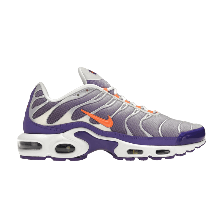 Nike Air Max Plus 'Color Flip' — Color Flip (CI5924 531)