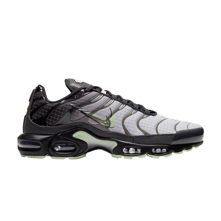 Nike Air Max Plus 'Future Swoosh'