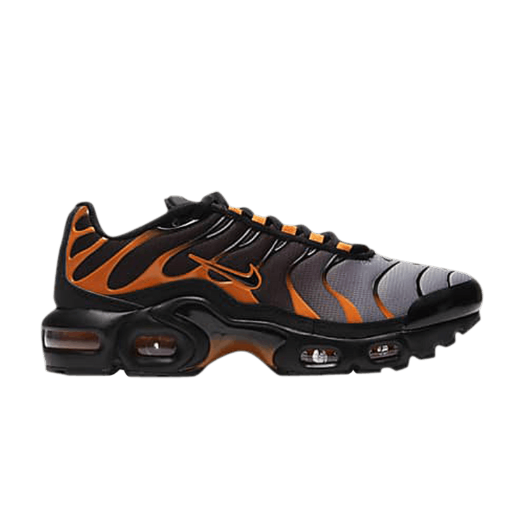 Nike Air Max Plus GS 'Black Team Orange'