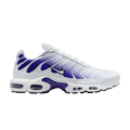 Nike Air Max Plus 'White Deep Night'
