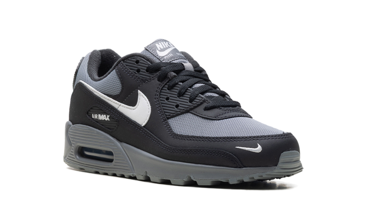 Air Max 90 "Anthracite Black" IM5989 010