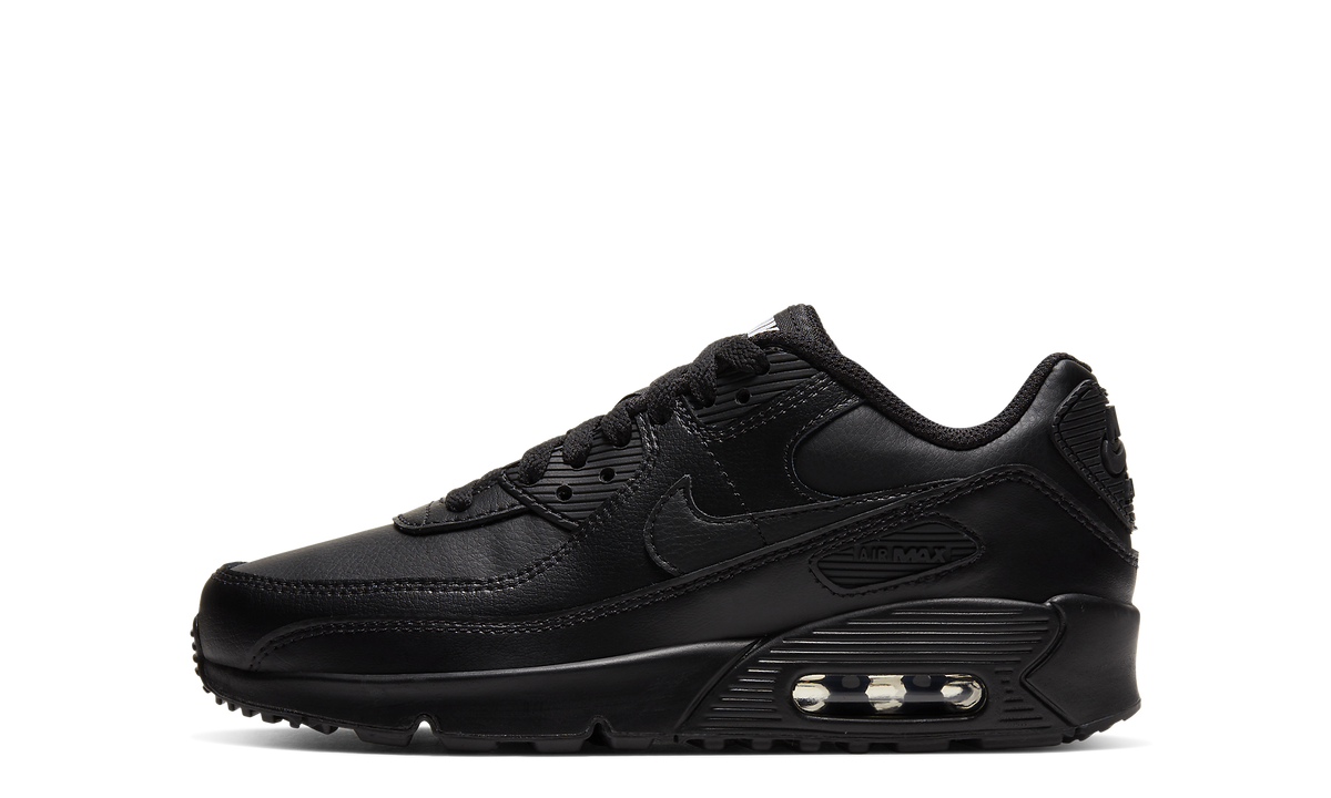 Air Max 90 "Triple Black" CD6864 001