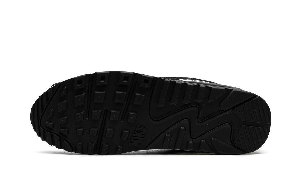 Air Max 90 "Panda" CN8490 101